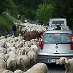 Civico 10 Candide